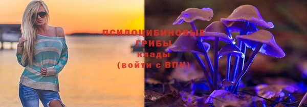крисы Алексеевка
