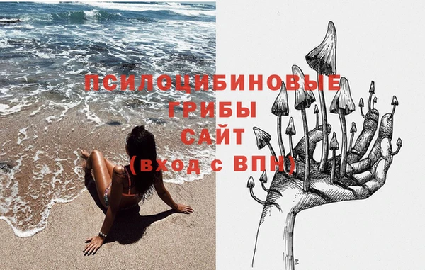 прущий лед Аркадак