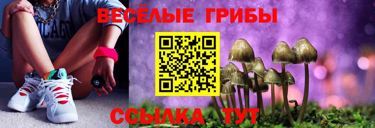 Галлюциногенные грибы Psilocybine cubensis Курганинск